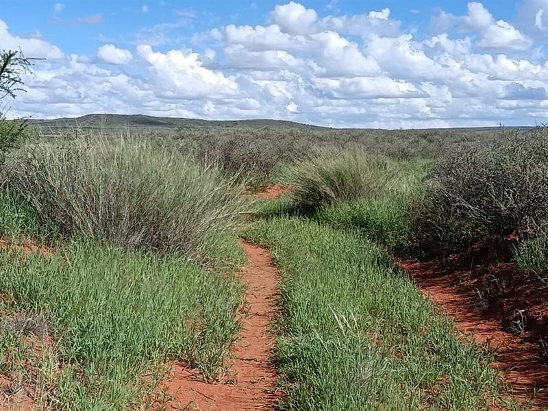 0 Bedroom Property for Sale in Prieska Northern Cape